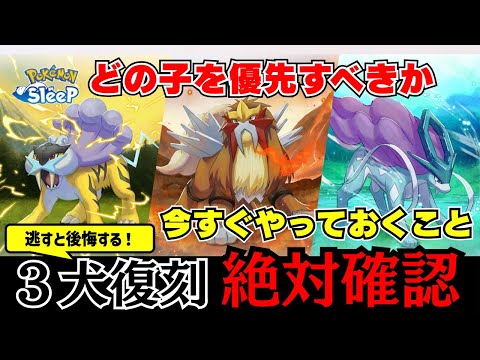 【必見】3犬復刻イベント、フィールド選び、立ち回りを徹底解説！初心者が狙うべきポケモンは…？【ポケモンスリープ】