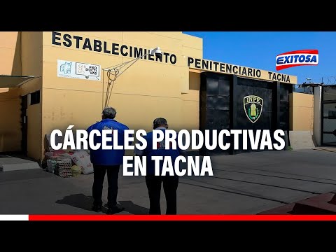 Tacna: Programas de reinserción penitenciaria cárceles productivas