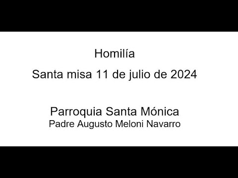 Homilía extraída de la Misa del 11 de julio del 2024