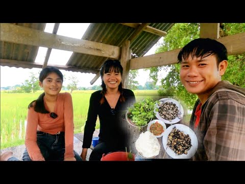 กินข้าวจ้ำหอยใส่มดแดงแชบหลายวั กินข้าวจ้ำหอยใส่มดแดงแชบหลายวั