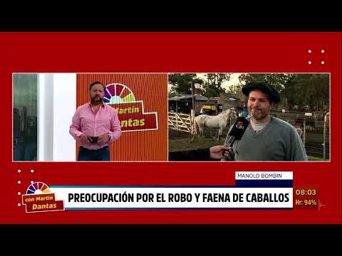 PREOCUPACION ROBO Y FAENA DE CABALLOS