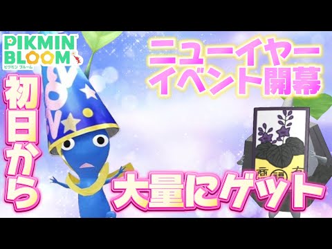 【解説】クラッカーピクミンを大量ゲット！2025年のニューイヤーイベントの進め方！！【#ピクミンブルーム / #PikminBloom 】