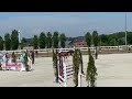 Show jumping horse Mayflower 6yo super easy to ride price winner