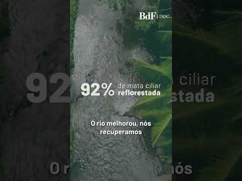 No sul da Bahia, assentamento do MST recupera 92% da mata ciliar e 80% das nascentes dos rios