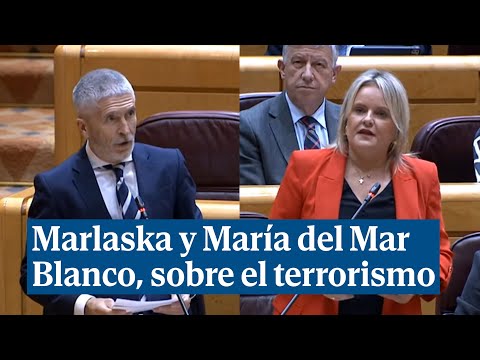Marlaska, a la senadora María del Mar Blanco: Como usted, no me he arrodillado ante el terrorismo