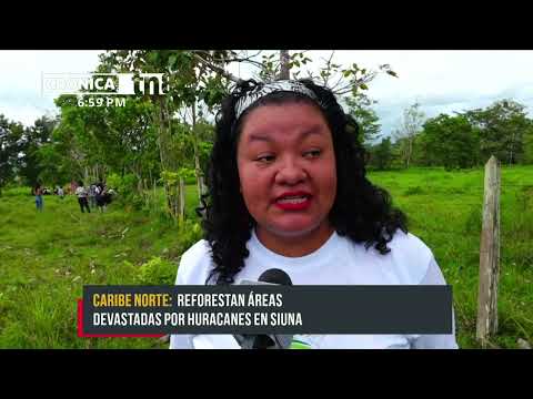 Realizan jornada de reforestación en Siuna en beneficio de productor local - Nicaragua