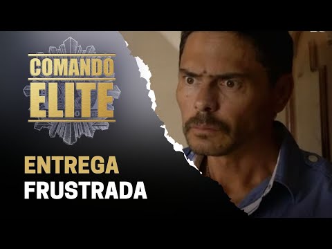 Héctor Miguel quiere entregarse a las autoridades | Comando Élite