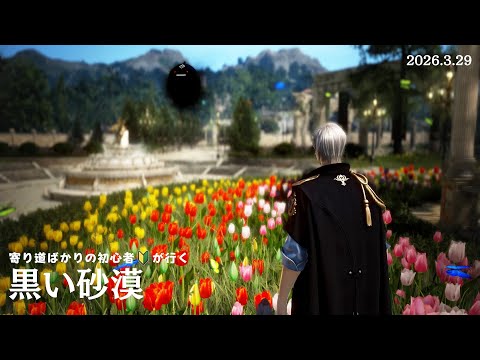 [黒い砂漠PS5]初心者が寄り道ばかりしてるっていう生存報告☆その74