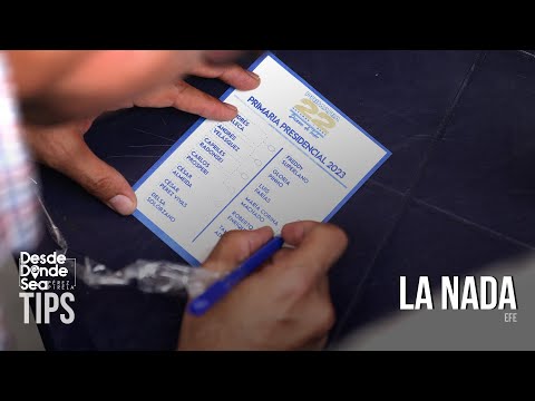 Resultado de la «estupidez» de las primarias: Analista opositor sobre candidatura de González