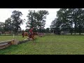 Cheval de CSO 7 jarig sportpaard te koop