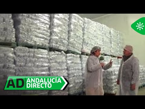 Andalucía Directo | Conocemos la fábrica de hielo más antigua de Andalucía