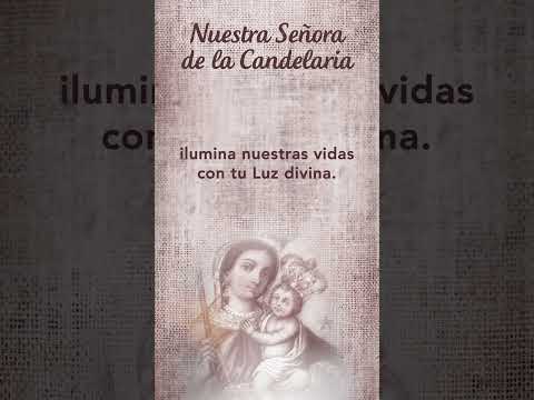 Oración a Nuestra Señora de la Candelaria #SantoDelDía  #TeleVID #Shorts