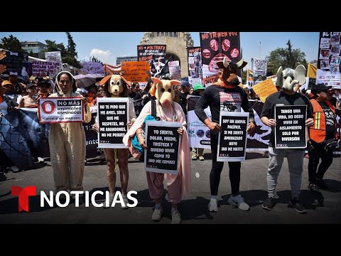 Medio millar de personas marchan por el respeto a los animales en la capital mexicana