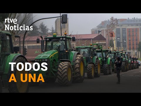 El CAMPO ESPAÑOL apoya a los AGRICULTORES de FRANCIA y anuncian PROTESTAS en varias CC.AA. | RTVE