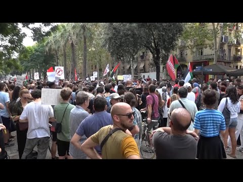 Barcelona demonstration in support of Palestinians in Gaza