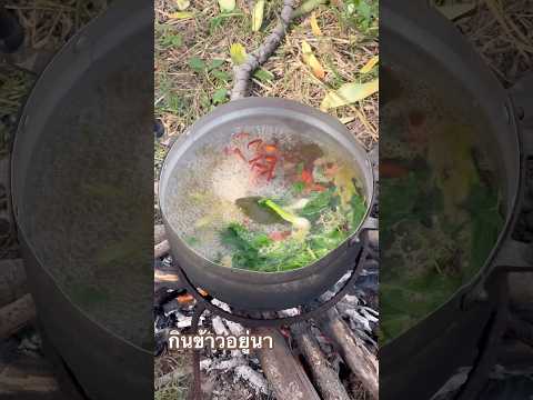 กินข้าวเที่ยงอยู่ท่งนาตำบักหุ