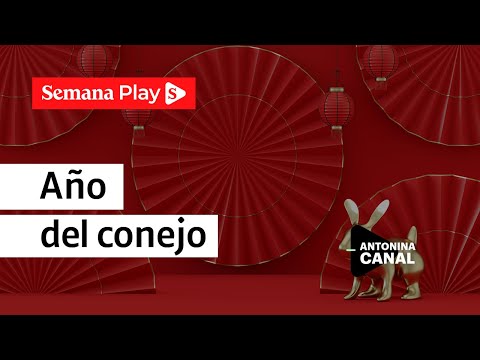 Nuevo año chino: significado del conejo | Antonina Canal en Sí Puedo y es Fácil - Semana Play