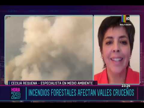 ¿Cómo hacer frente a los incendios forestales