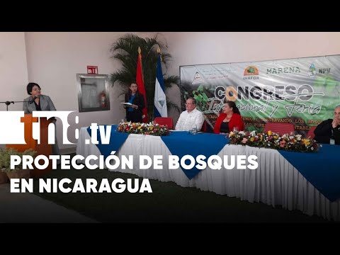 Nicaragua se suma a la protección de bosques por el desarrollo foresta