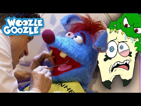 Wie kommen Löcher in die Zähne? l WOOZLE GOOZLE