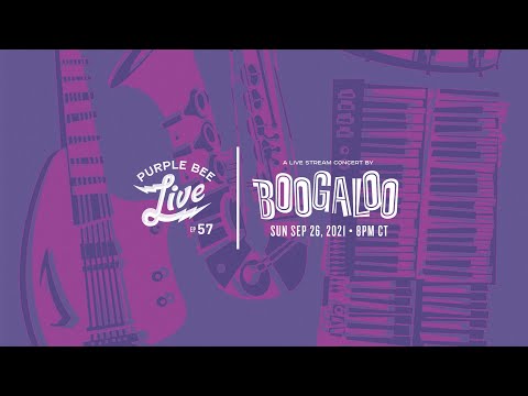 Boogaloo Concert Tickets - 2026 Tour Dates