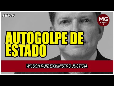 AUTOGOLPE DE ESTADO  Columna de Wilson Ruiz