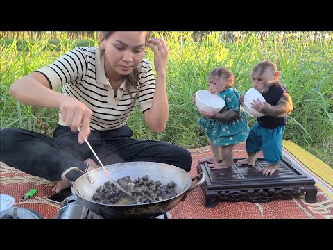 Monkey Mimi Kuku holds the bowl and waits for Mom to stir fry the snails (P1)