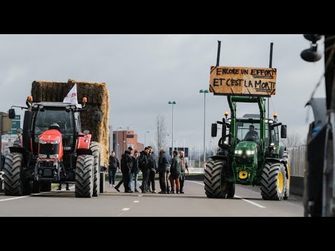 Colère des agriculteurs : Les Bretons entrent tout doucement dans la ronde