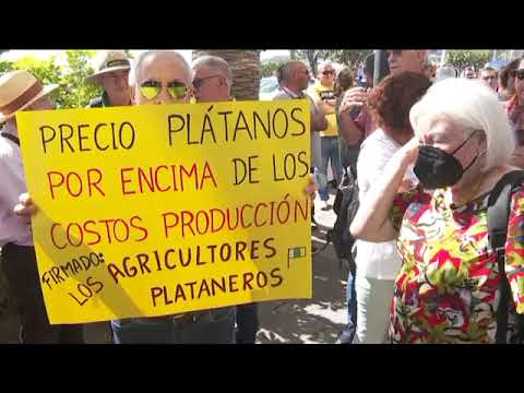 Unos 300 agricultores reclaman en La Palma «un precio justo» del plátano canario