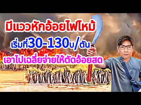 เปิดประเด็นหักเงินอ้อยไฟสำคัญ