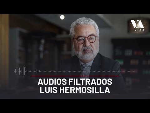 AUDIO COMPLETO: Caso Luis Hermosilla