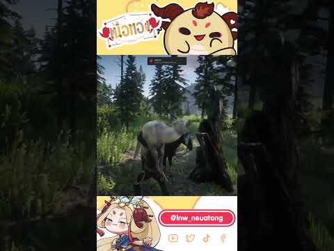 ร่วงไม่พักอะบอกเลยvtoryvtub