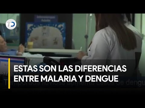 Malaria y Dengue Cuál es la diferencia