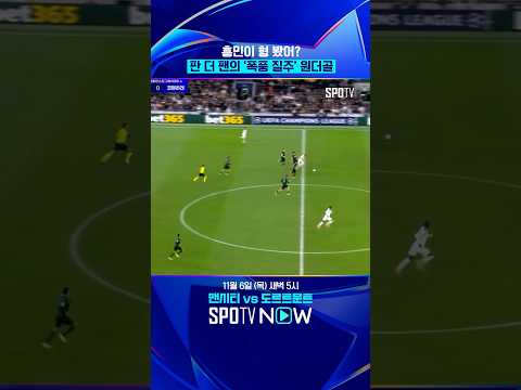 손흥민 빙의한 판 더 팬 