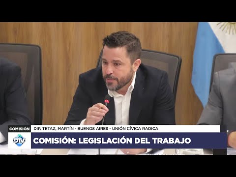 COMISIÓN EN VIVO: LEGISLACIÓN DEL TRABAJO - 24 de abril de 2024 - Diputados Argentina