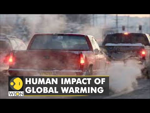 🌎Climate change triggers migration, 40.5 million people were forced to migrate until 2020 | WION