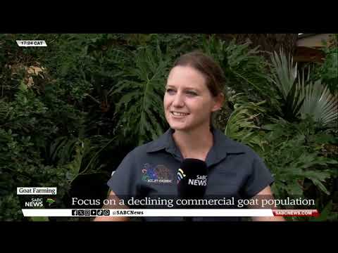 Goat Farming | Spotlight on a declining commercial goat population