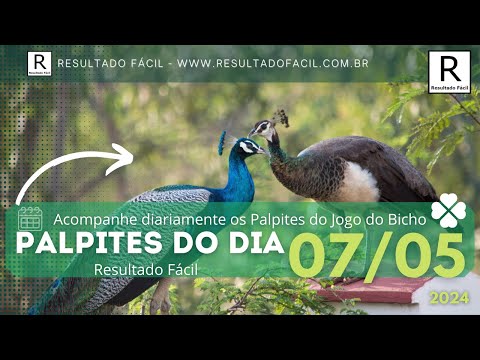 Palpite do dia 07/05/2024 Jogo do Bicho - Resultado Fácil