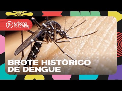 Dengue sin freno: lucha en los hospitales para controlar la epidemia #DeAcáEnMás