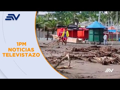 Cinco playas de Manabí permanecen con troncos y palos desde fin de semana | Televistazo | Ecuavisa