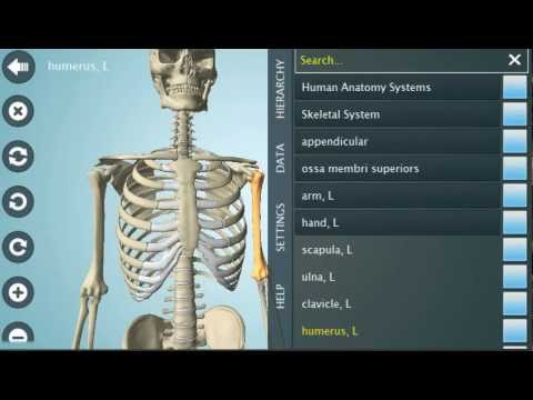 anatronica pro apk
