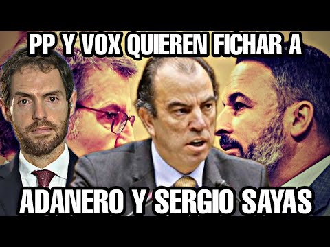 EL PP Y VOX SUEÑAN CON FICHAR AL DIPUTADO NAVARRO, GARCÍA ADANERO