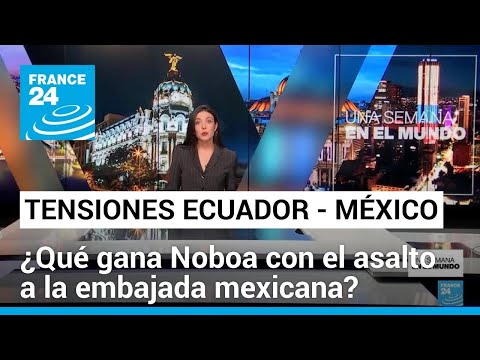 ¿Qué gana Noboa con el asalto a la embajada mexicana? • FRANCE 24 Español