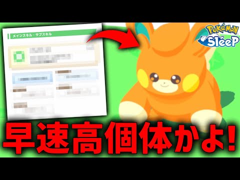 早速捕まえたこのパモ"なかなかにぶっ壊れ"な件【ポケモンスリープ】