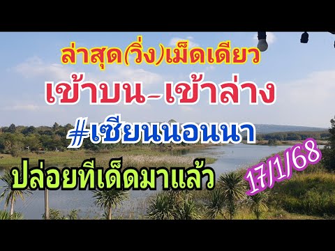 ล่าสุด(วิ่ง)เม็ดเดียวเข้าบน-ล่