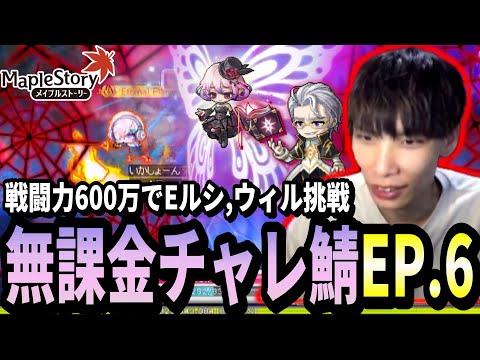 チャレ鯖ゼノンの可能性は無限大！戦闘力600万でEルシ,Eウィル挑戦するいかしょー【メイプルストーリー無課金チャレンジャーズワールド編EP.6】