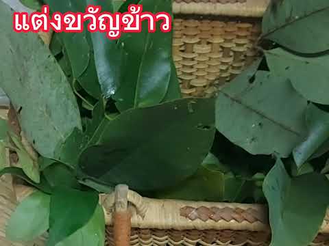 แต่งขวัญข้าว