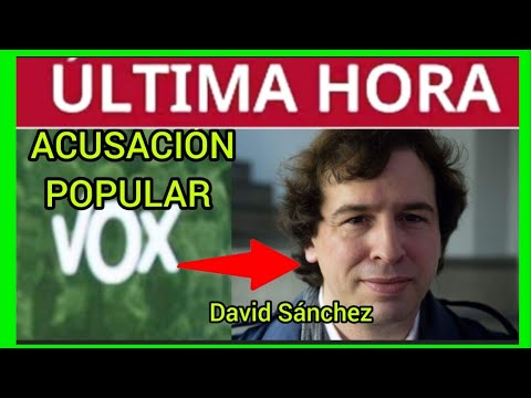 VOX SERÁ ACUSACIÓN POPULAR CONTRA DAVID SÁNCHEZ