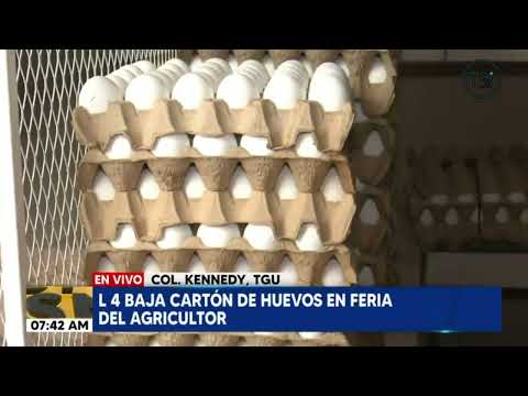 Canasta básica Honduras: a 96 lempiras se cotiza cartón de huevos en la Kennedy