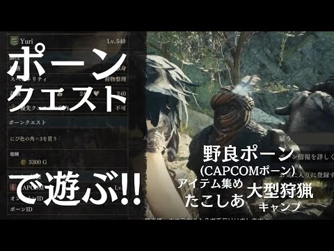 Dragon's Dogma 2【ポーンクエスト中たこしあ発見】ドラゴンズドグマ 2